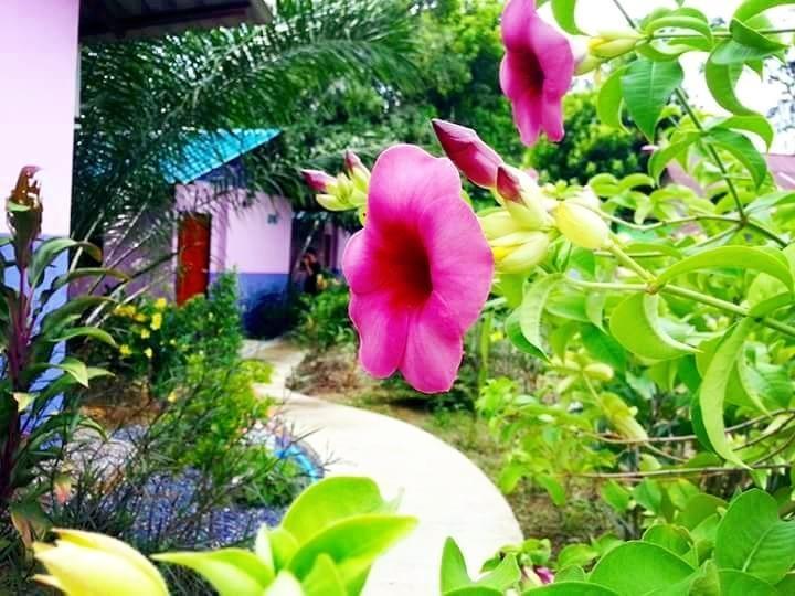 Bangnu River Resort Phang Nga Eksteriør billede
